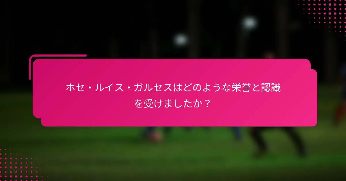 ホセ・ルイス・ガルセスはどのような栄誉と認識を受けましたか？